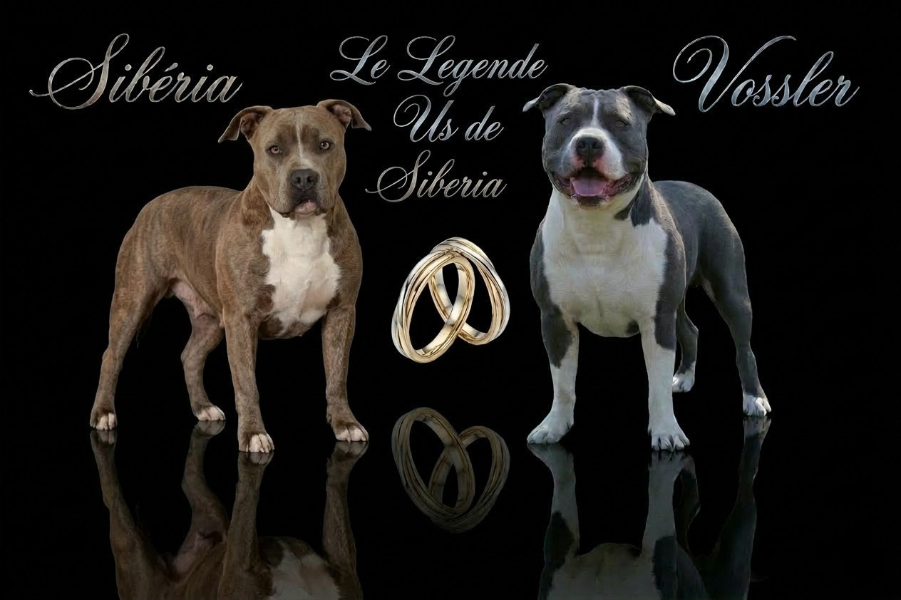 2 ème mariage en cours de l'année 2026 ...