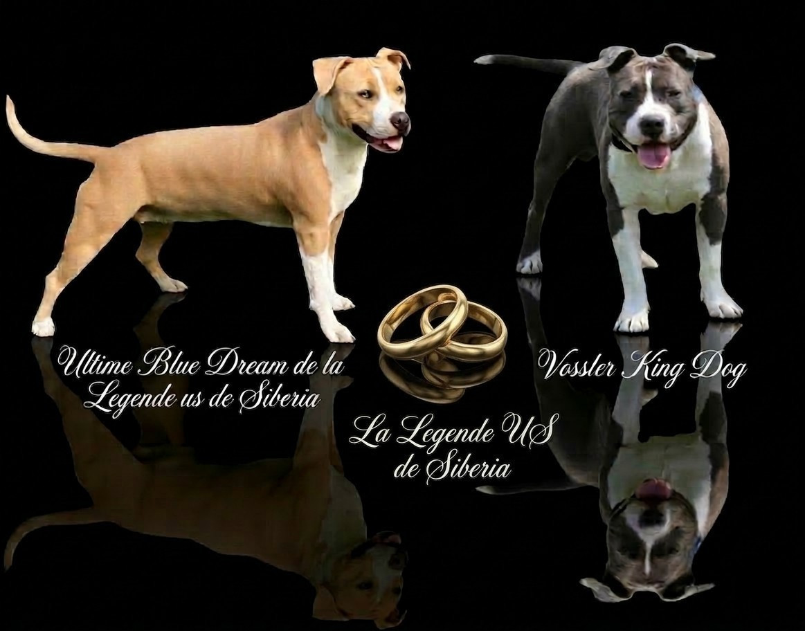 Premier mariage en cours 2026